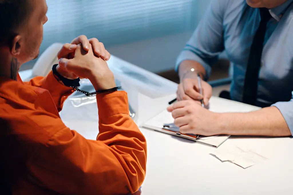 Criminal defense lawyer