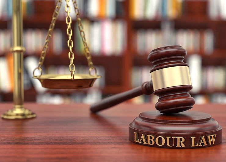 An Overview of Employment and labor lawyer