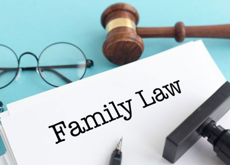 An Overview of Family lawyer