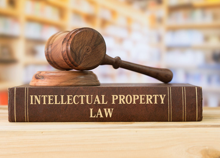 An Overview of Property lawyer