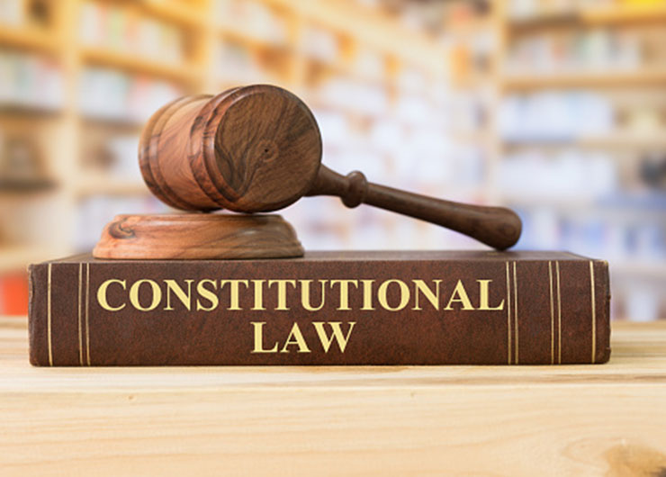 An Overview of Constitutional lawyer