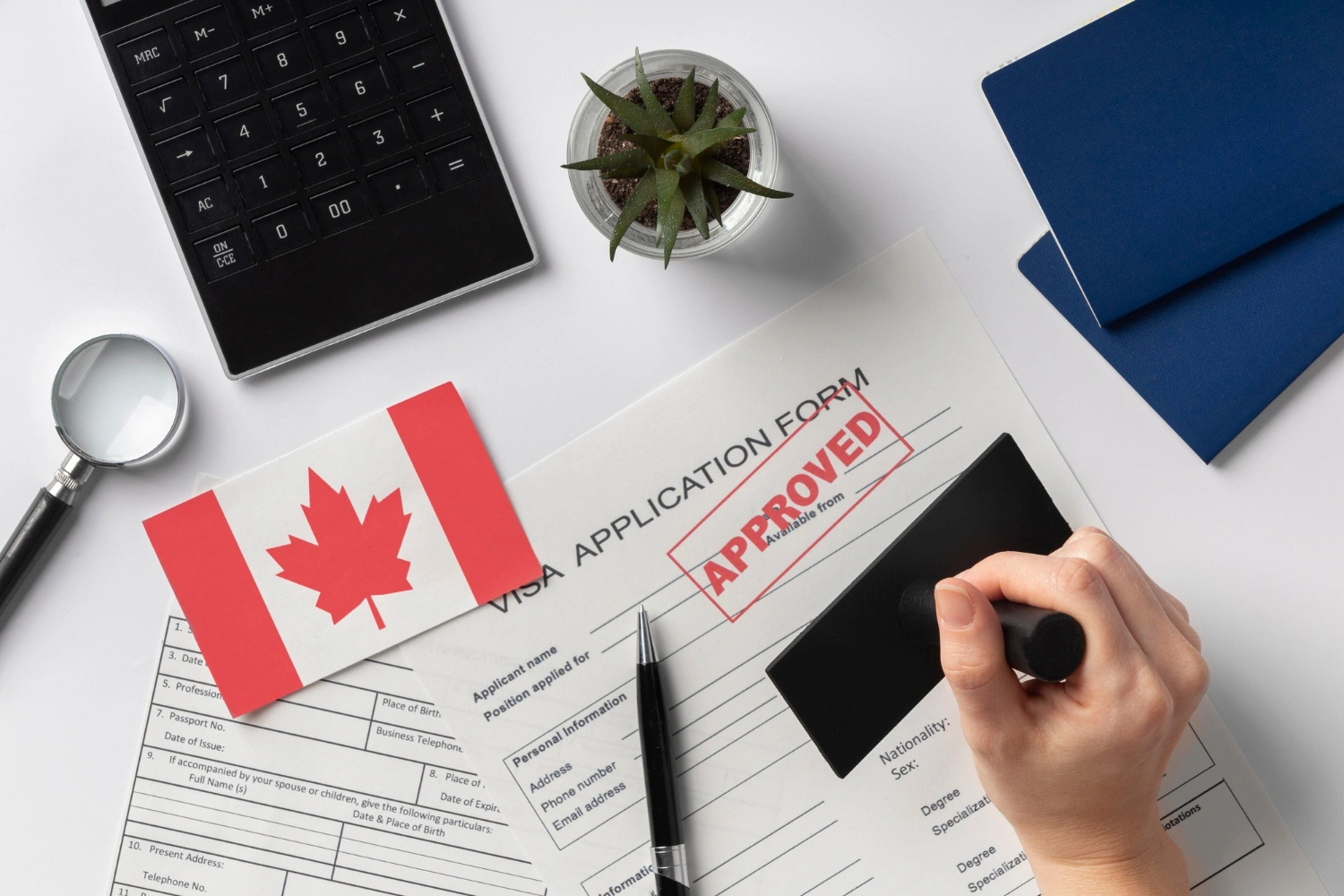 Role of Immigration Lawyers in Canada